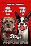 Strays