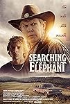 Searching for the Elephant (2024)