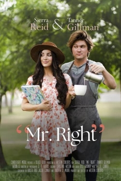 Mr. Right (2016)